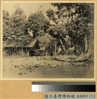 藏品(巴布亞人干欄式家屋)的圖片